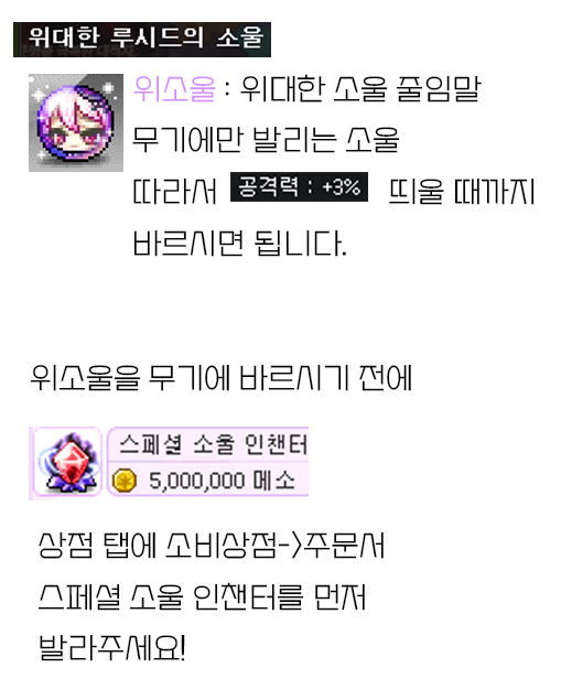 위소울 장착방법.png